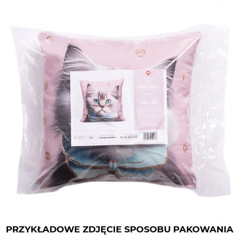 KOTEK Poduszka z wypełnieniem silikonowym dwustronna MICROFIBRA, 40x40cm, kolor 001 T00015/SIL/001/040040/1 KOTEK Poduszka z wypełnieniem silikonowym dwustronna MICROFIBRA, 40x40cm, kolor 001 T00015/SIL/001/040040/1