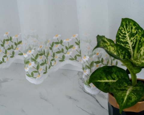 Firanka-zazdrostka 40 cm Rumianek wysokść 40 cm 28100/40-1 MARKIZETA LINIE (318041) HAFT rumianek Firanka-zazdrostka 40 cm Rumianek wysokść 40 cm 28100/40-1 MARKIZETA LINIE (318041) HAFT rumianek
