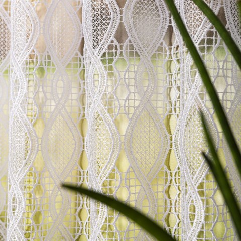 Zazdrostka gipiurowa, wysokość 40cm, kolor 001 biały 016472/447/001/000040/1