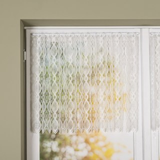 Zazdrostka gipiurowa, wysokość 60cm, kolor 010 naturalny 016472/447/010/000060/1