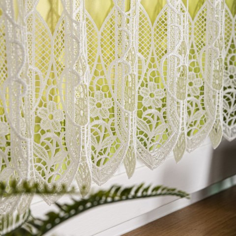 Zazdrostka gipiurowa, wysokość 40cm, kolor 010 naturalny 016451/447/010/000040/1