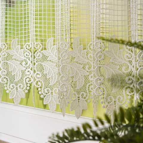 Zazdrostka gipiurowa, wysokość 70cm, kolor 010 naturalny 016409/447/010/000070/1