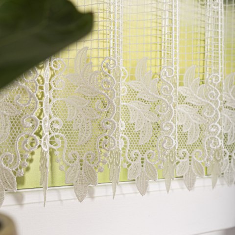 Zazdrostka gipiurowa, wysokość 90cm, kolor 010 naturalny 016409/447/010/000090/1