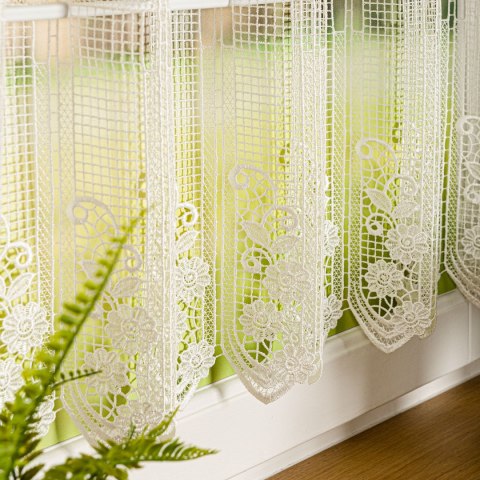 Zazdrostka gipiurowa, wysokość 30cm, kolor 010 naturalny 016404/447/010/000030/1