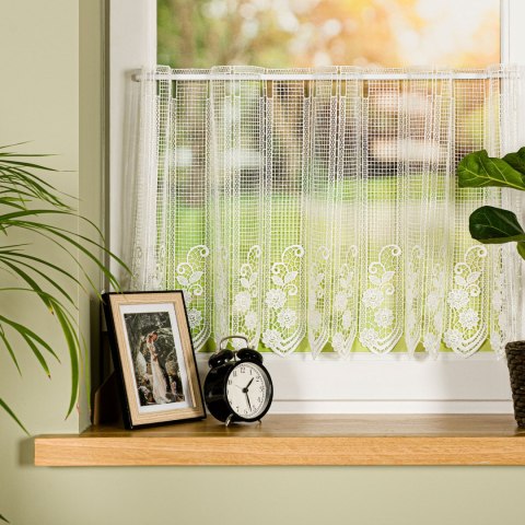 Zazdrostka gipiurowa, wysokość 45cm, kolor 010 naturalny 016404/447/010/000045/1