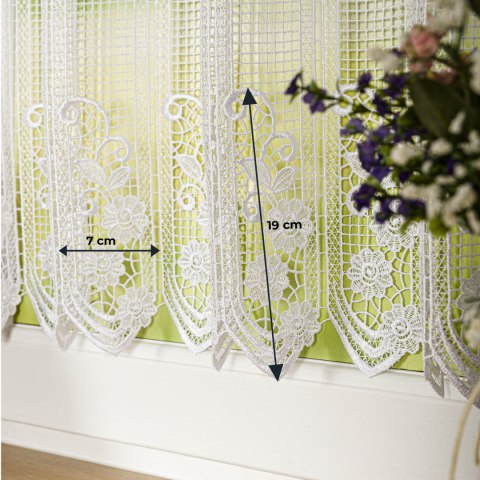 Zazdrostka gipiurowa, wysokość 45cm, kolor 010 naturalny 016404/447/010/000045/1