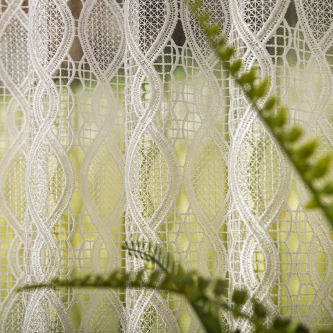 Zazdrostka gipiurowa, wysokość 90cm, kolor 010 naturalny 016472/447/010/000090/1